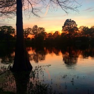louisiana bayou sunset
