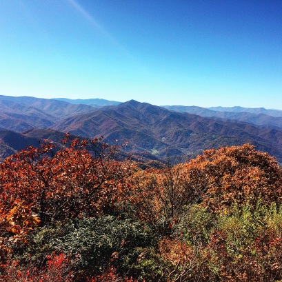 fall in pisgah national forest